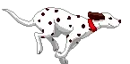 Dalmatian Running Animation